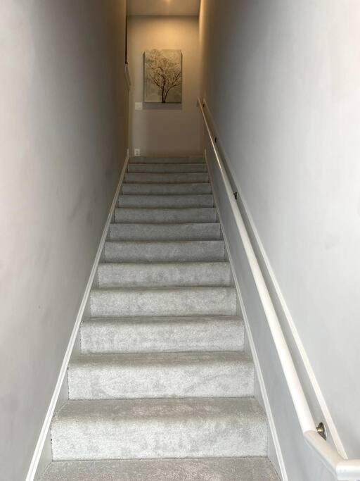 Spacious 3Bedroom Duplex With Rooftop Deck! Washington Eksteriør bilde